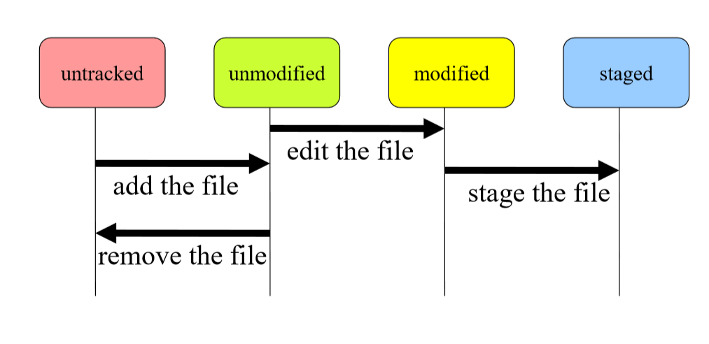 file lifecycle